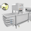 Vegetable Cleaning Machine – 20–50kg Batch Capacity, 220V